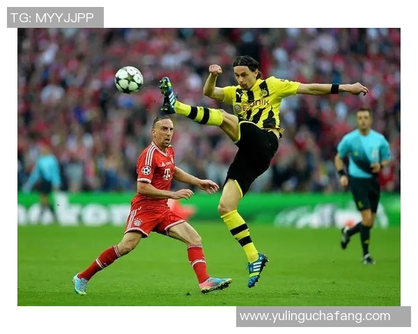 足球明星绝技集锦视频展现惊人技巧与精彩瞬间的完美结合