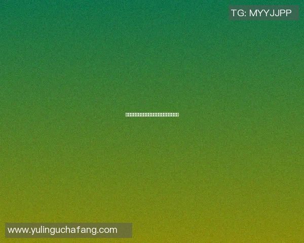 篮球明星企鹅的传奇之路与梦想追逐的精彩故事